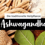 Ashwagandha Rossmann